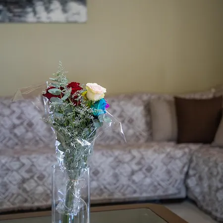 Victo-ria Lux Apartamento *